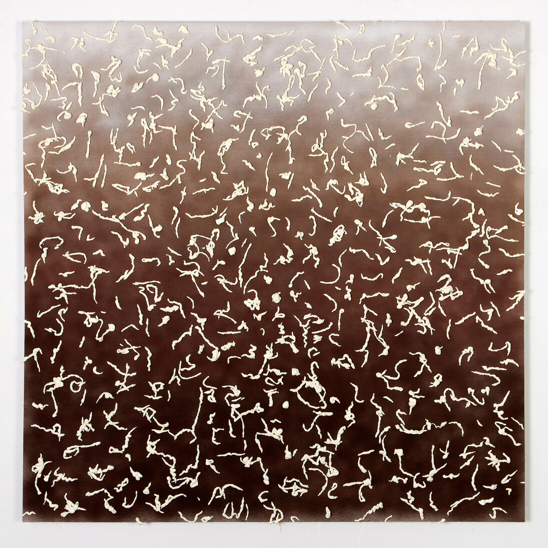 Nathan Green, Big Box Bacterio (SM), Spray Insulation Foam and Enamel on canvas, 153 x 153 cm, 2014