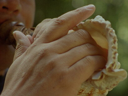 Aura Satz, Sirening (as a verb) (video still) (detail), 2026. Courtesy of Govett-Brewster Gallery 