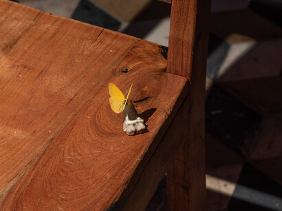 Miguel Fernández de Castro, La espera, vista de exhibición. Cortesía de Travesía Cuatro