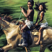 Pulitzer Prize Photographs. Courtesy of BYU Museum of Art