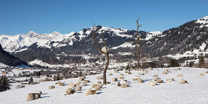 Giuseppe Penone. Courtesy of  Galerie Gagosian