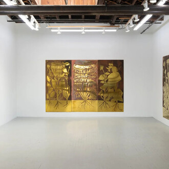 Alicja Biała and Diana Orving, The mushroom at the end of the world, exhibition view. Courtesy of Carvalho Park