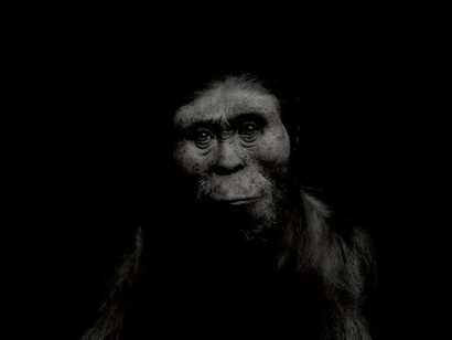 Recreation of Lucy, the ancestor of all