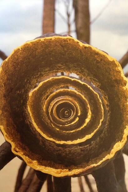 Penone, Versailles & Venezia