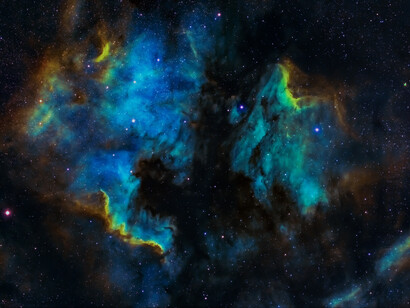 Se considera que el universo es un ser que pulsa ideas