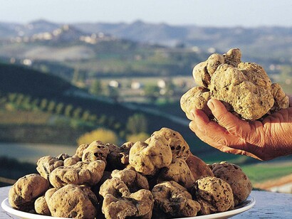 tartufo bianco