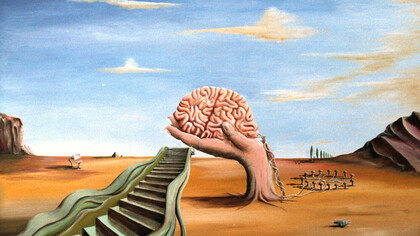 "BrainChain", Willem den Broeder, 2001