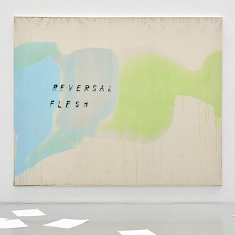 Fabian Herkenhoener, Reversal Flesh, 2020, dust, acrylic binder, acrylics, pencil, spray paint on canvas, 195x230cm, Photo Mareike Tocha, courtesy Priska Pasquer, Cologne. 