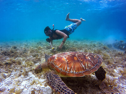 A brown tortoise swims beside a man snorkeling in the clear waters of Cyprus