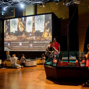 Spiders. From fear to fascination, exhibition view. Courtesy of Witte Museum