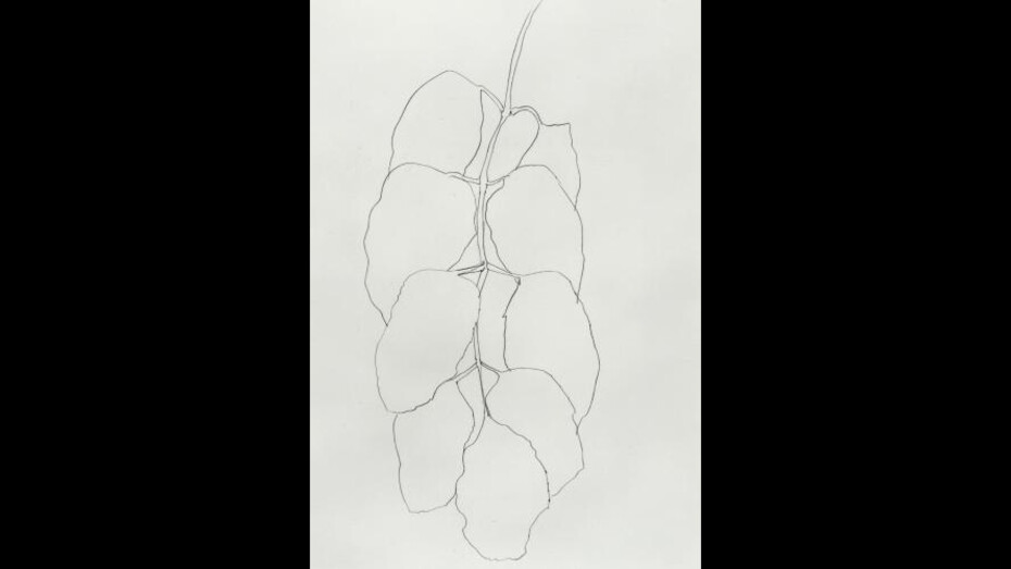 Ellsworth Kelly. Courtesy of Centre Pompidou