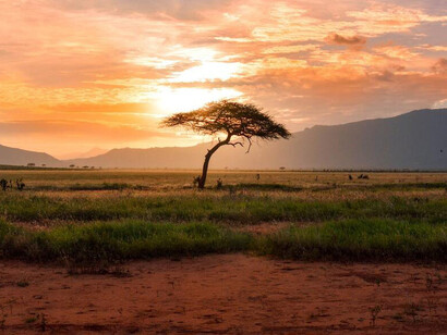 Atardecer en el Parque Nacional Serengueti
