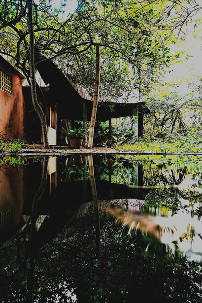 Founded in 2000, the Botanical Gardens stretch across 50 acres and showcase more than 1,300 plant species in various themed gardens. The grounds also house a herbarium, a nursery capable of producing 100,000 seedlings, and facilities designed for workshops and training sessions