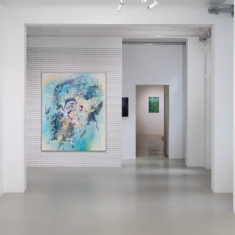 Holger Schmidhuber, The killer, ausstellungsansicht. Mit freundlicher genehmigung der Galerie Aoa;87