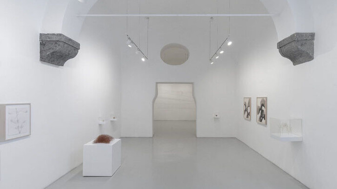 Studio Trisorio, foto Amedeo Benestante