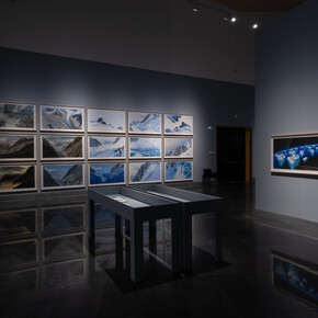 Jesus Mari Lazkano, Natura fugit, exhibition view. Courtesy of Museo Universidad de Navarra