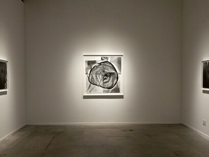 Klea McKenna, Automatic Earth, Exhibition view. Courtesy of Von Lintel Gallery 