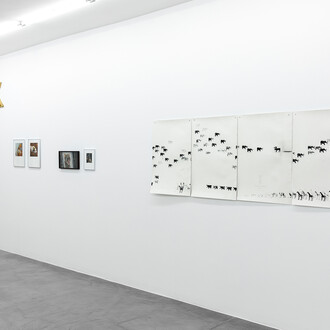 Various artists, Hay un pájaro azul en mi corazón (There’s a bluebird in my heart), exhibition view. Courtesy of Gallery Hache. Photo by Ignacio Iasparra