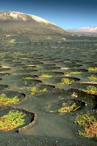 Lanzarote. Paisaje volcánico