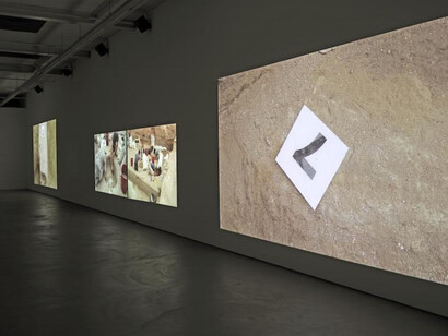 Rossella Biscotti. Courtesy of Kunsthaus Baselland