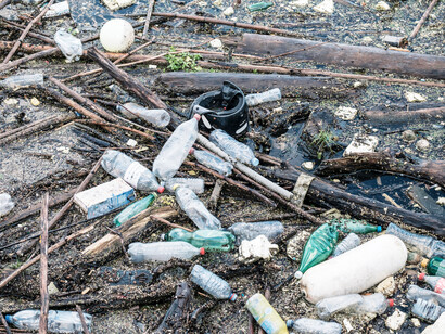 The Earth Pledge: I will minimize the amount of fresh water I use