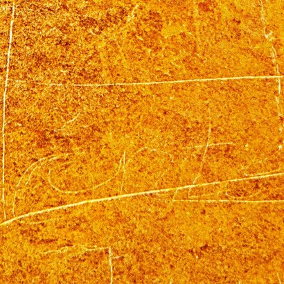 La huella de los ancestros