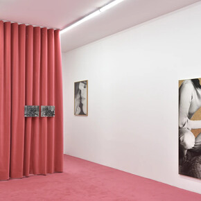 Joanna Piotrowska, exhibition view. Courtesy of Marian Goodman Gallery