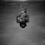 Lance W Clayton, Kim Bubbles, Orem, Utah, 2014, Archival Pigment Prints