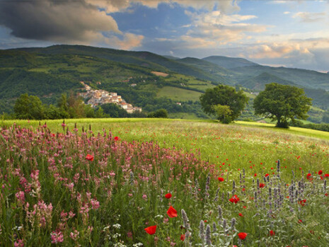 Umbria Green Festival 