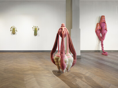 Zsófia Keresztes, The chamoile protocol, exhibition view. Courtesy of König Telegraphenamt 