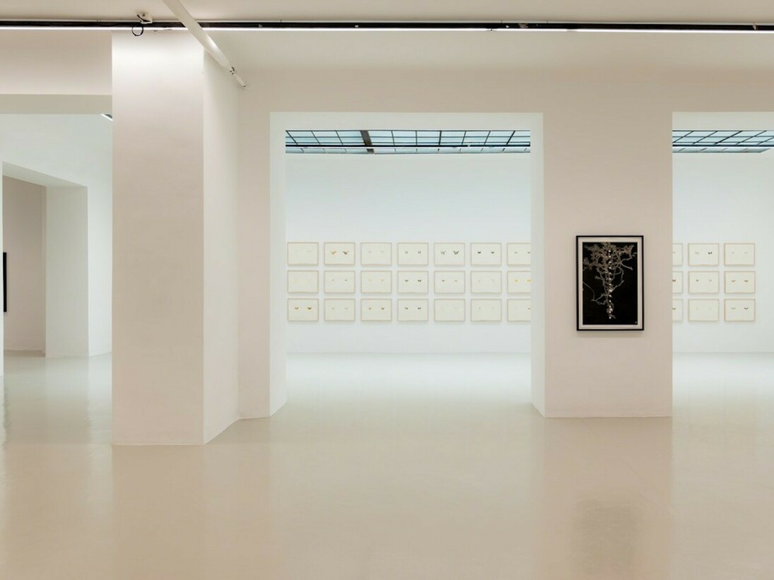 Maximilian Prüfer, Exhibition view. Courtesy of Galerie Lisa Kandlhofer