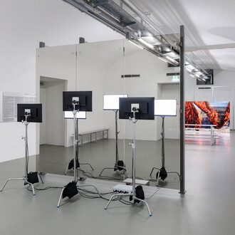 Felix Lenz,Soft image, brittle grounds, ausstellungsansicht. Mit freundlicher genehmigung des MAK