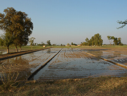 Irrigation in the Upper Indus Plain 
