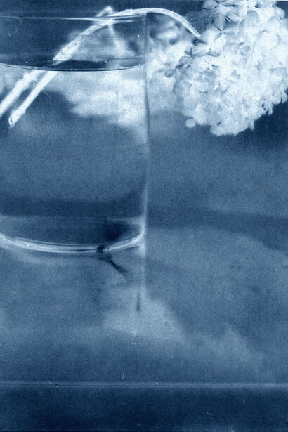 Thomas Ruff, neg◊stil_16, 2015, Chromogenic print,11 3/16 × 8 13/16 inches (28.4 × 22.4 cm)
Ed. of 8, detail