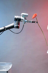 Robô com inteligencia artificial entrega flor à moça