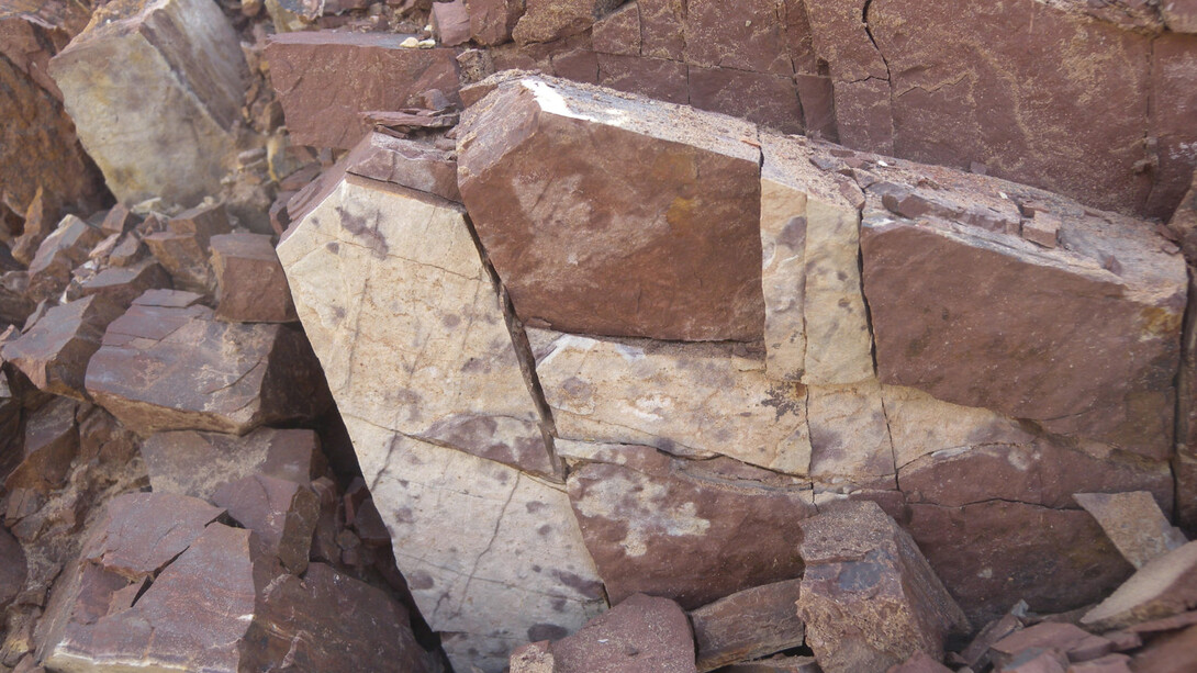 Isabelle Tanner, Ante ceramicum, matériel d'exposition. Avec l'aimable autorisation du Mudac