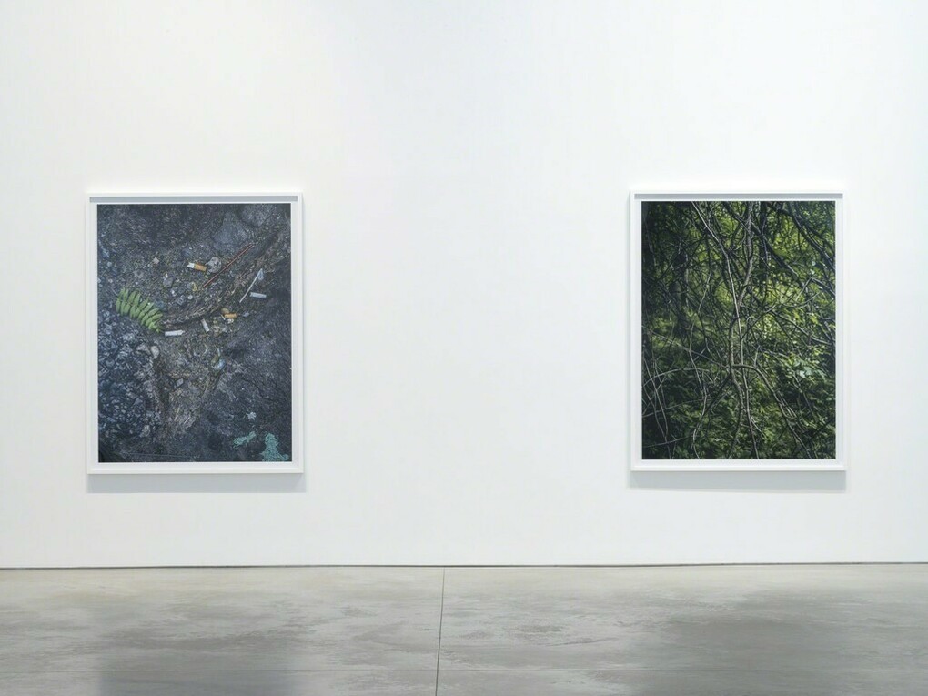 Stephen Shore. Courtesy of 303 Gallery