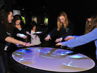 Brain: The Inside Story. Courtesy of Canadian Museum of Nature