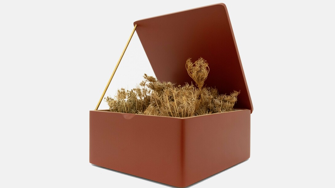 Cynthia Mulcahy,
Abortion,
Tea Caddy III, 2023,
Queen Anne’s Lace/Daucus carota, wood, enamel lacquer, brass rod,
6 1/2 x 6 1/4 x 7 1/2 in.,
16.5 x 15.9 x 19.1 cm. Courtesy of the artist and VSF