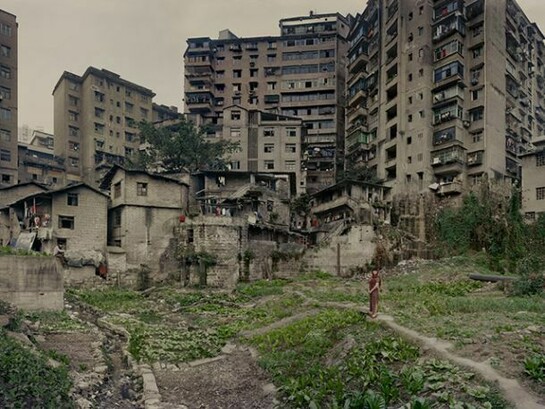 Chen Jiagang, Farm of ZhongXian, 2011