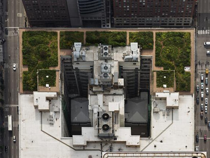 Nature/Culture. Courtesy of Amon Carter Museum of American Art