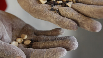 Come sfamare il pianeta?