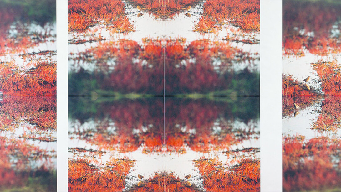 Jean-Luc Mylayne. Courtesy of Aargauer Kunsthaus