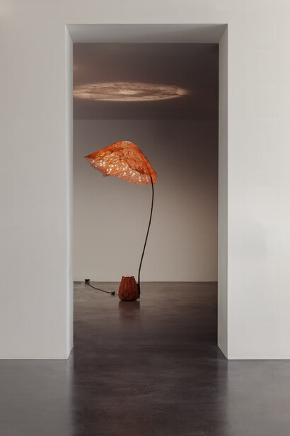 Aki+Arnaud Cooren, Komorebi, exhibition view. Courtesy of Carpenters Workshop Gallery 