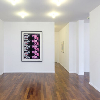 Carolee Schneemann. Courtesy of MFC - Michèle Didier