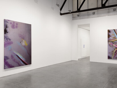 Installation View: Enigmas: Martin Barré, David Ostrowski, Julian Schnabel, Reena Spaulings, Based on a novel by Alison Gingeras, March 6 - April 25, 2015, Andrea Rosen Gallery, New York