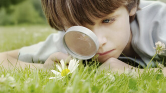 Un niño observando una flor