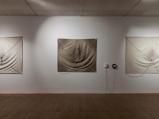Regina José Galindo, "La historia la escriben quienes sobreviven", 2019 @reginajoségalindo