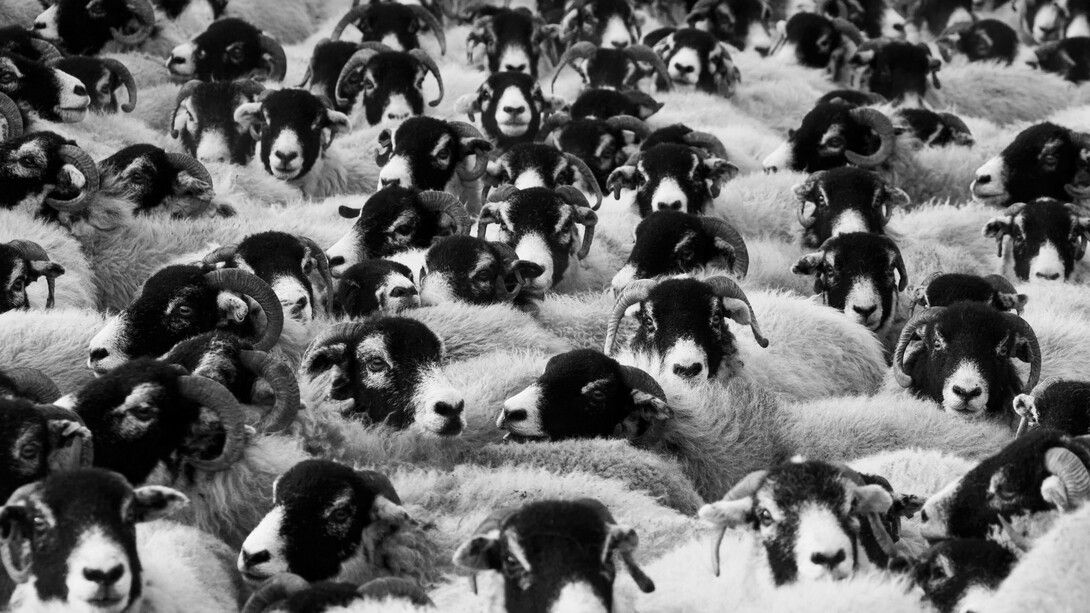 A ilusão da liberdade