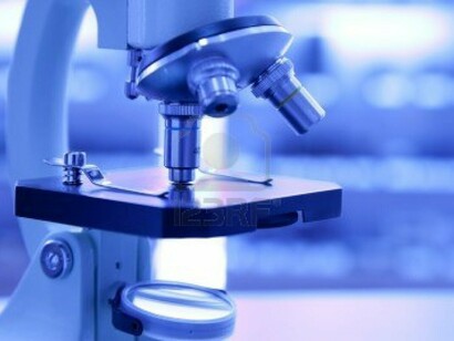 Mirando al microscopio